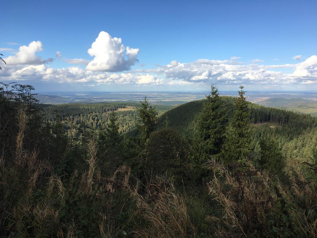 Fewo Andresen Hahnenklee Goslar Kültér fotó