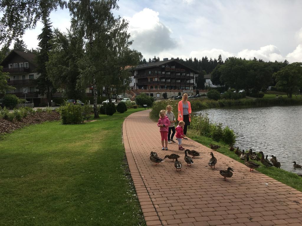 Fewo Andresen Hahnenklee Goslar Kültér fotó